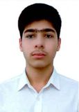 امیر محمد دلفانی