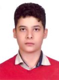 آرتین نادری