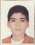 محمدرضا میرزایی