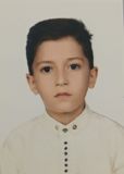 ایلیا پرتوی
