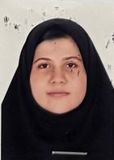 الیناسادات حسینی