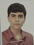 مسیحا برغمدی