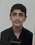 آراد مقصودلو