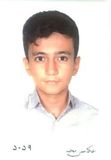محمدپارسا لطفی کیوانلو
