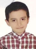 مبین برازنده