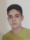 هودین سیاری