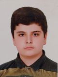 محمد ملامیرزائی