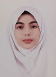 مائده امامی