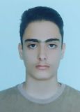 آرتین میرزایی