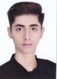 ریبین موفقی