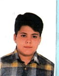 محمدرضا محمدی