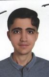 حسین محمدیان مصمم