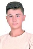 محمدمهدی محمودی