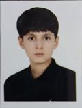 محمدامین زیغمی
