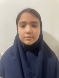 شمیم جوادی