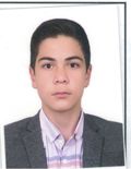 محمدمهدی ولایتی مانی