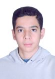 آرین شوکتی