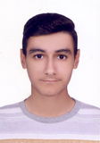 محمدمتین ابراهیمی