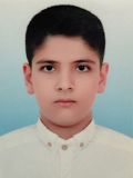امیرمحمد منصوری