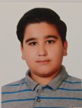 امیرحسین واثق