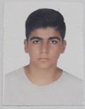 ایلیا ذوقی فرگی