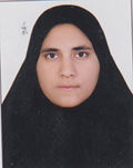 فاطمه زهرا شهرکی نوین