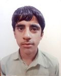 امیرمحمد پرکی