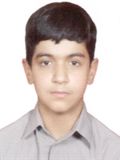 امیرمحمد جهاندیده