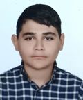 آرتین علیزاده مللو