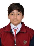 اروین دولتخواه