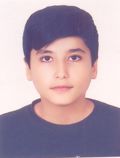 مهین الدین سلطانی