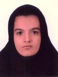 هستی ماقبل