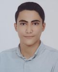 مهدی ولی پور