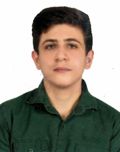 امیرمحمد صفری