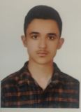 امیرعلی ناصری