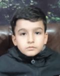 ایلیار جمشیدی ملکی