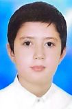 ایلیا زیبایی
