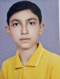 امیر سلیمانی پور